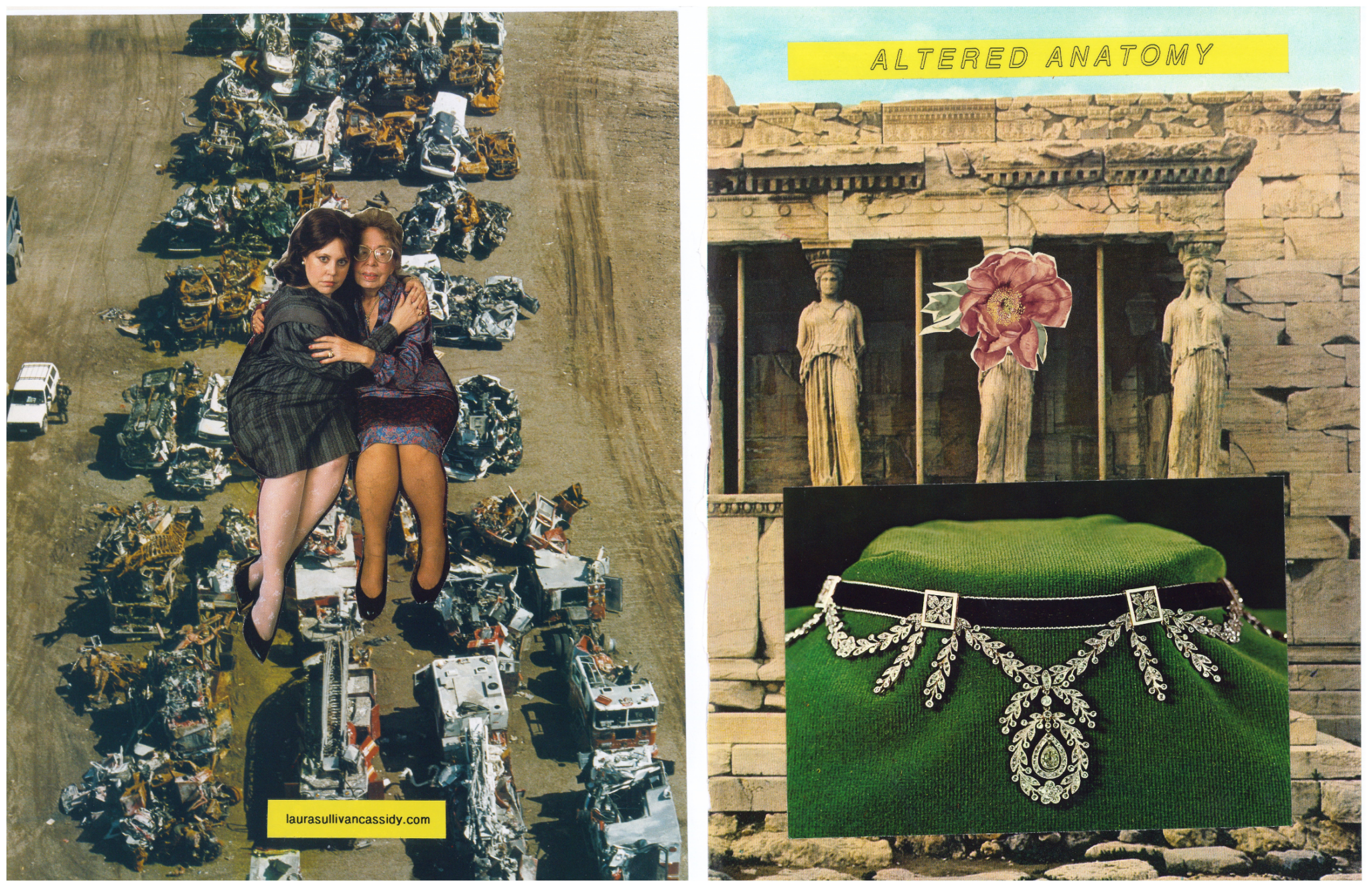 Altered Anatomy front and back cover scans